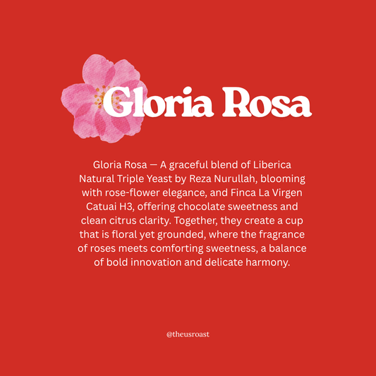 Filter Blend - Gloria Rosa (limited time)