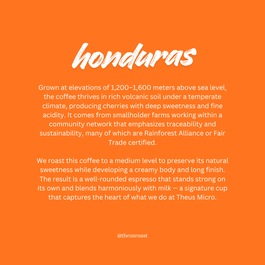 Homerun Blend - Espresso