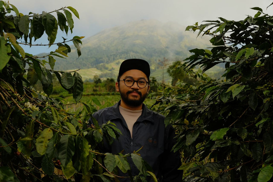 The Story of Kaliangkrik: From First Light to the Last Cherry
