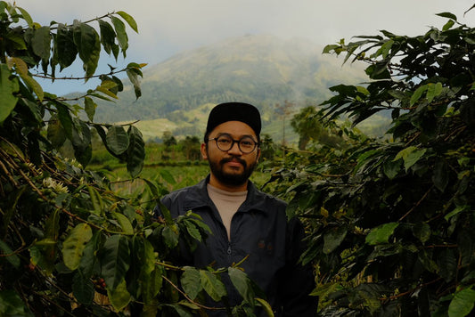 The Story of Kaliangkrik: From First Light to the Last Cherry