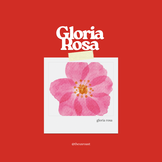 Filter Blend - Gloria Rosa (limited time)