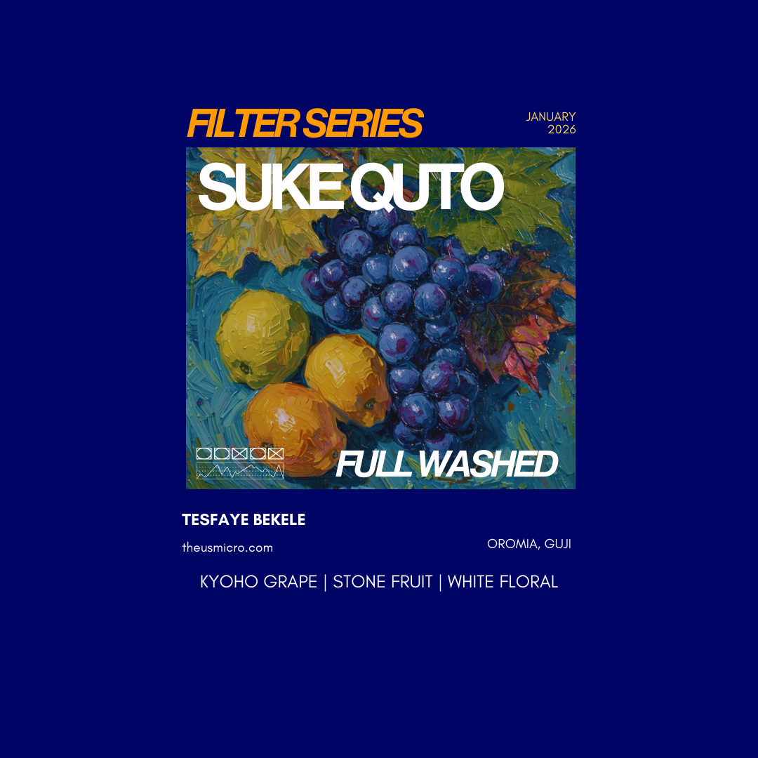 Filter Series - Suke Quto (Washed)
