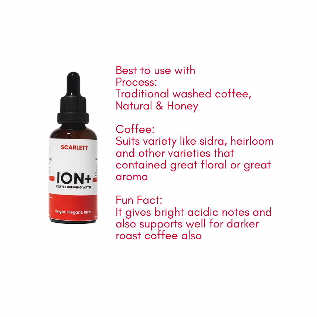 Ion Plus — Mineral Concentrate (Pre-Order)