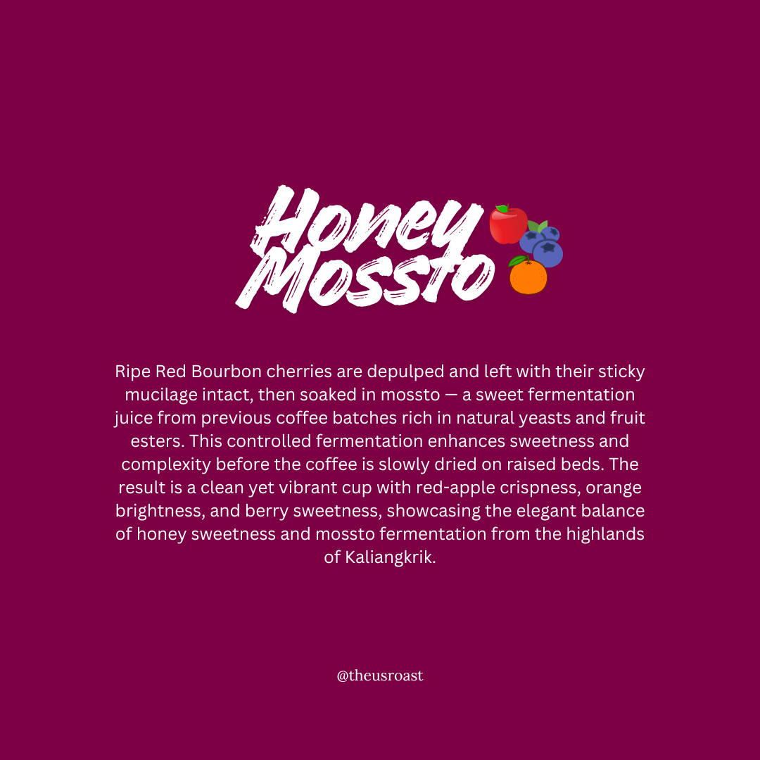 Mas Rinto - Honey Mossto