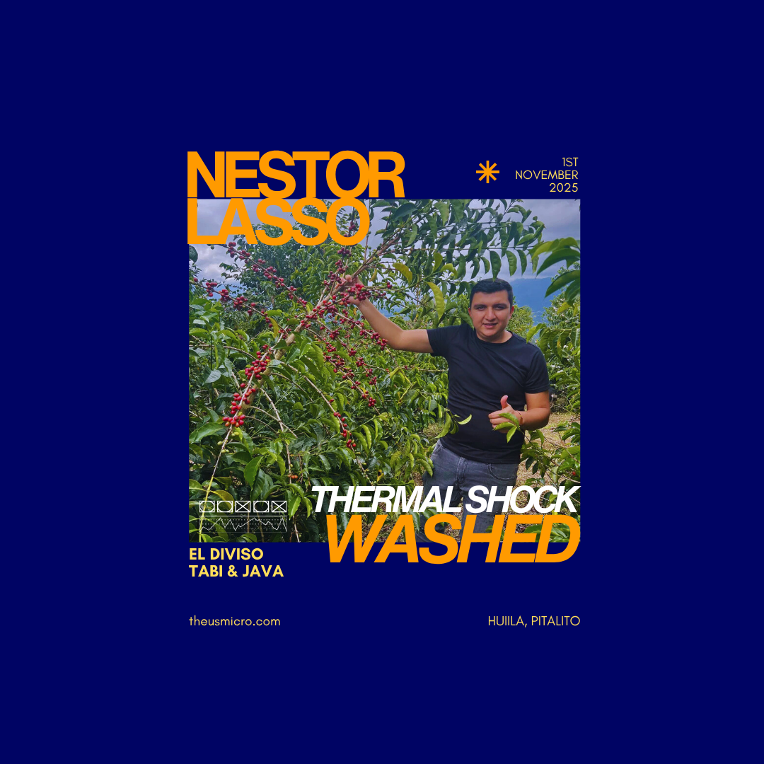 Nestor Lasso - Thermal Shock (Washed)