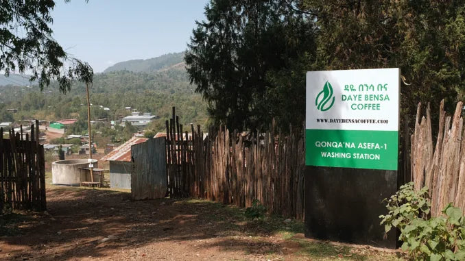 RK38 Blend - Wuchii x Sidama