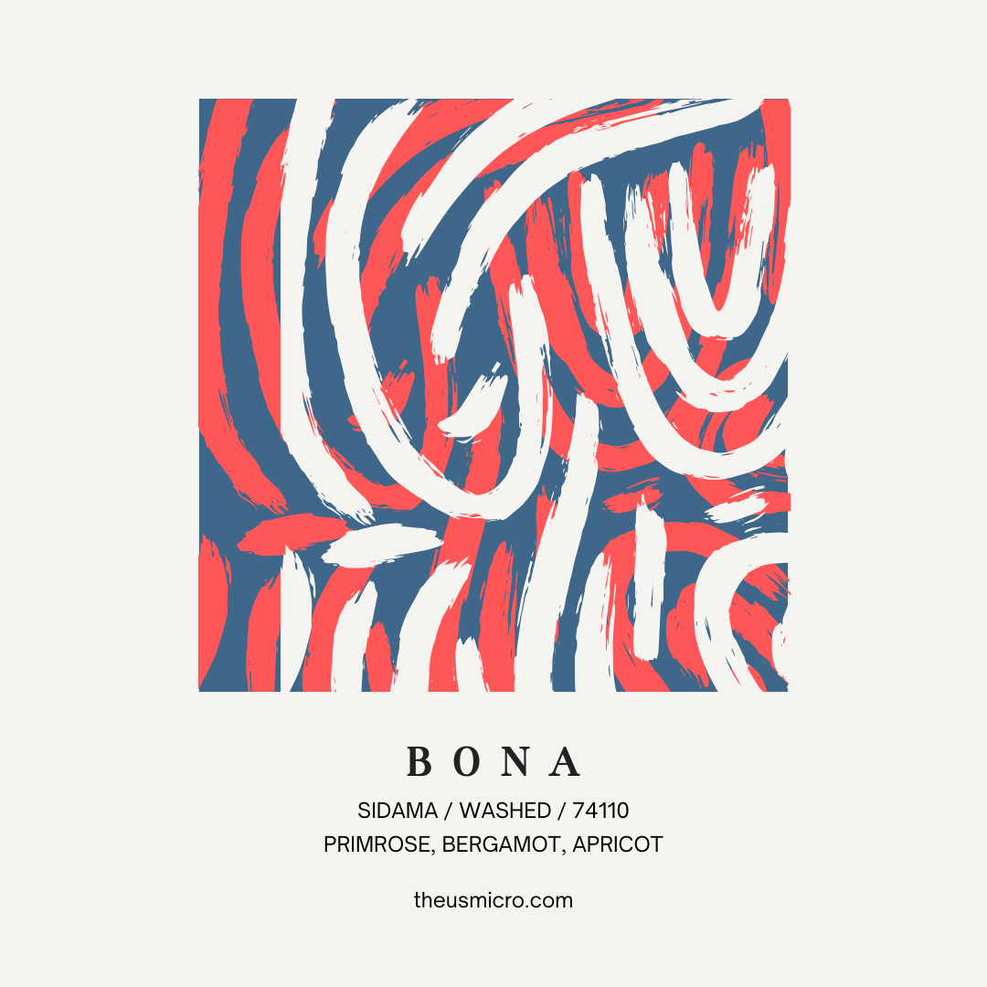 Bona - Washed Ethiopian