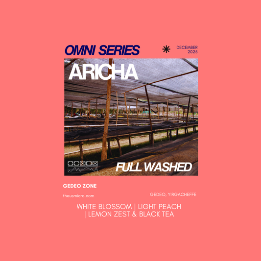 Omni Series - Aricha Adorsi (Washed)